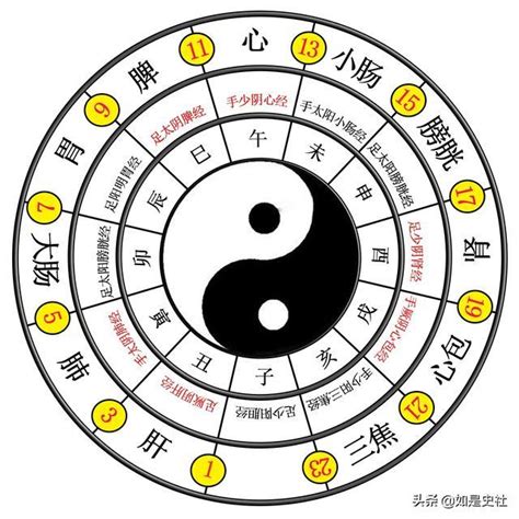 太極 兩儀|太極、兩儀、四象、八卦分別是什麼意思？他們之間又。